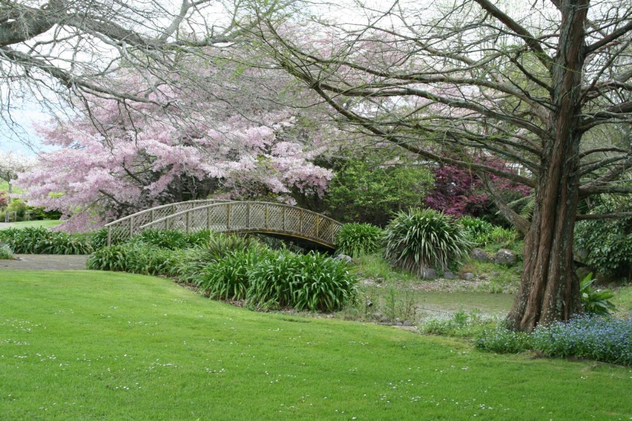 Bridgehaven Guesthouse Okoroire 外观 照片
